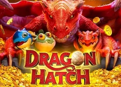 dragon hatch